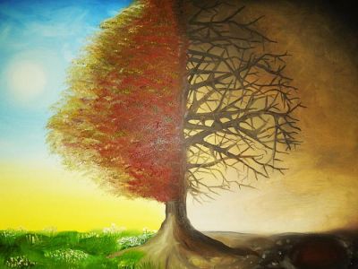 L albero
