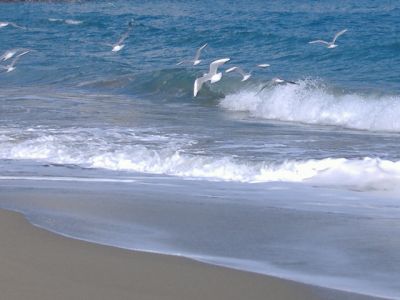 Sogni di libert