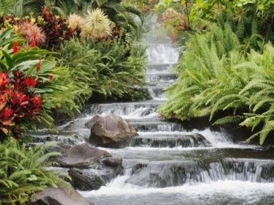Come un fiume in piena
