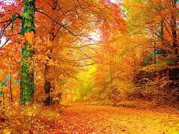 Foglie gialle dautunno