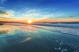 Il mare... la vita