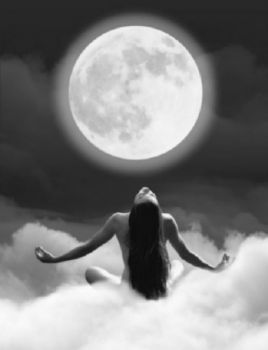 Solitude