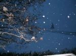 La neve