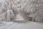 La neve