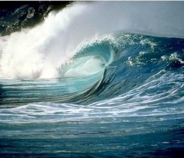 Marea
