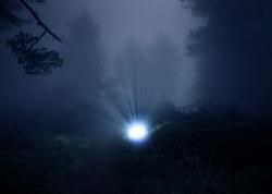 Suggestioni