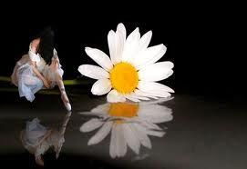 Anima dell'amore