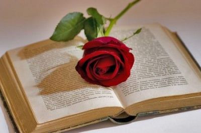 Voglia di poesia