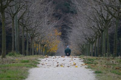 Il complice silenzio