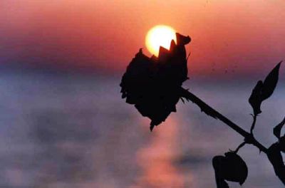 Un sole nuovo