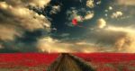 L'aquilone rosso