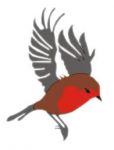 Pettirosso