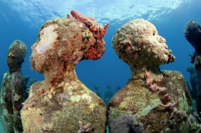 Corals Alive