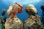 Corals Alive