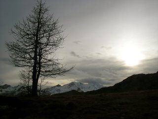 Fuori