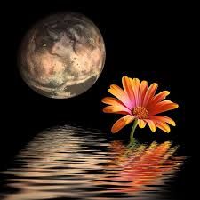 Di notte