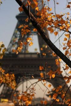 Parigi