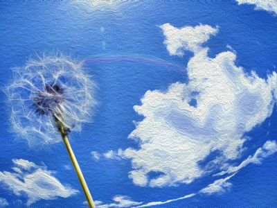Il cielo in una stanza