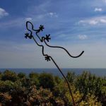 Gechi sul mare