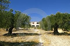 Paesaggio antico