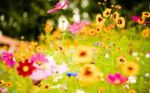 Le pause del tempo
