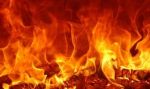 Il fuoco dinverno