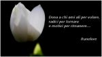 Verr a trovarti