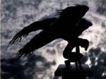 L'ultimo volo di un gabbiano