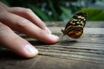 Il valore della fragilità