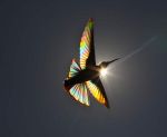 Controluce