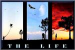 La vita (The life)
