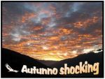 Autunno shocking