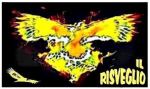 Il risveglio