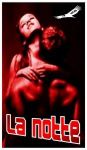 La notte mi appartiene
