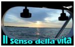 Il senso della vita 1