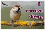 Ti correvo dietro