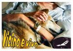 Vicino e vivo