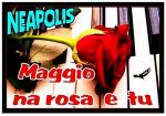 Maggio na rosa e tu