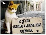 Sette vite