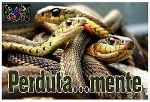 Perduta... mente (1)