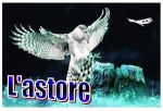 Lastore