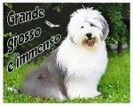 Grande grosso e immenso