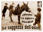 Oleum et operam perdidi