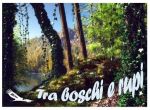 Tra boschi e rupi