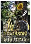 Il girasole e le ruote