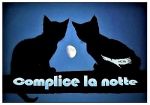 Complice la notte