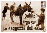Dubito ergo sum