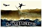 Lignaro
