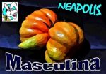 Masculina