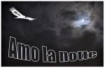 Amo la notte